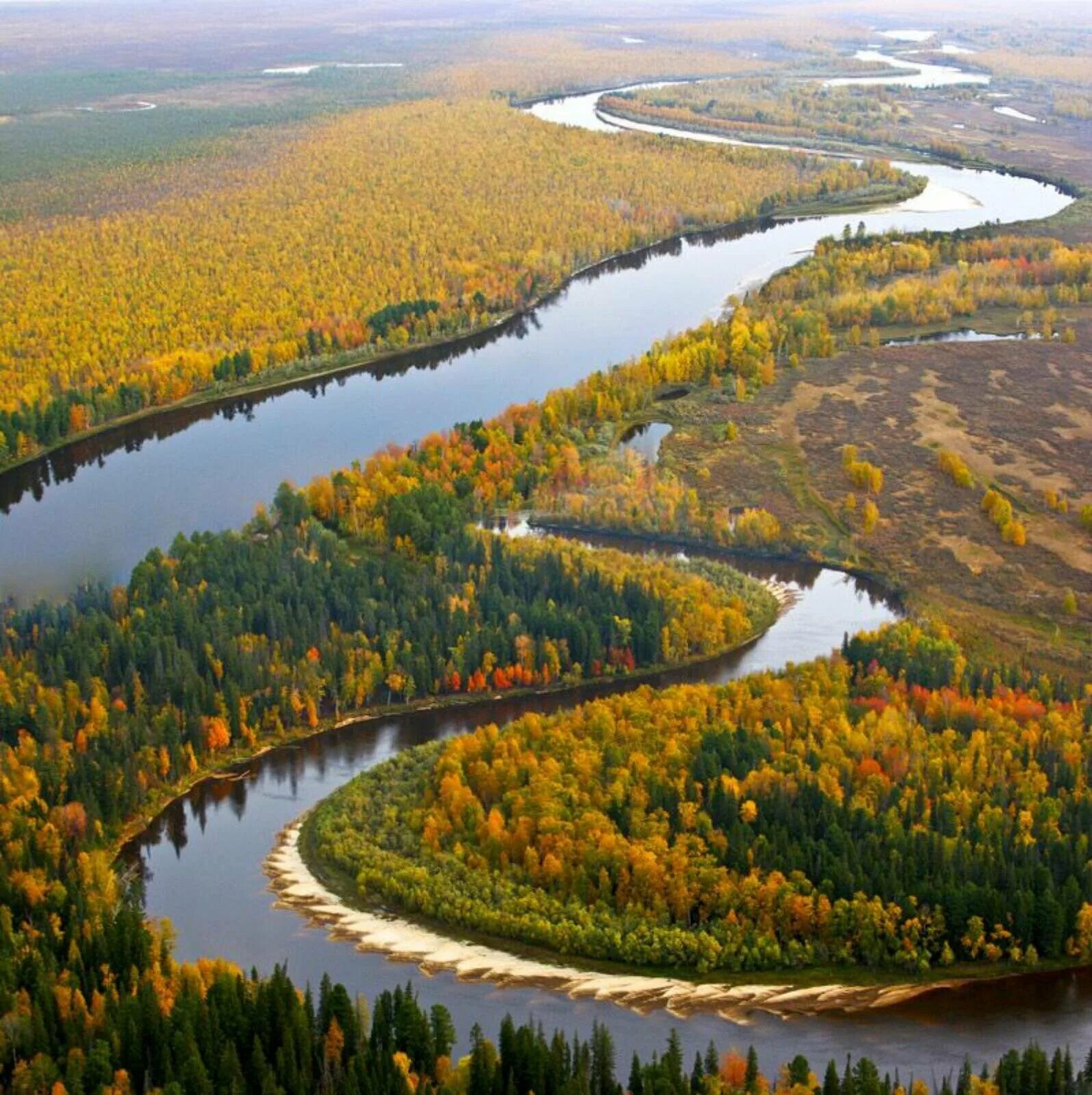 Самая большая река восточной сибири. Река Обь. Река Обь в Алтайском крае. Тайга и река Обь. Реки Сибири Обь.