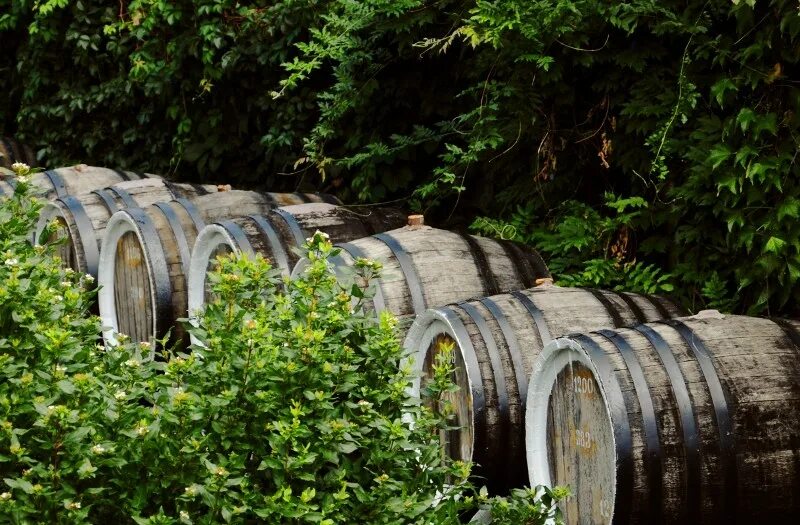 винный завод «массандра» (поселок массандра). массандровский винзавод ялта. массандра вино завод крым. массандровский завод в ялте. винзавод казань.