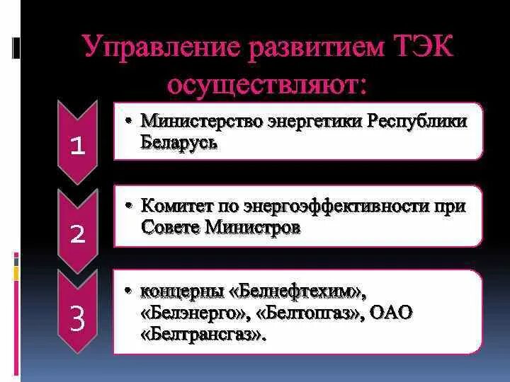 Наиболее развитым топливно энергетическим комплексом обладает