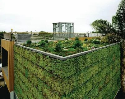 Plant built