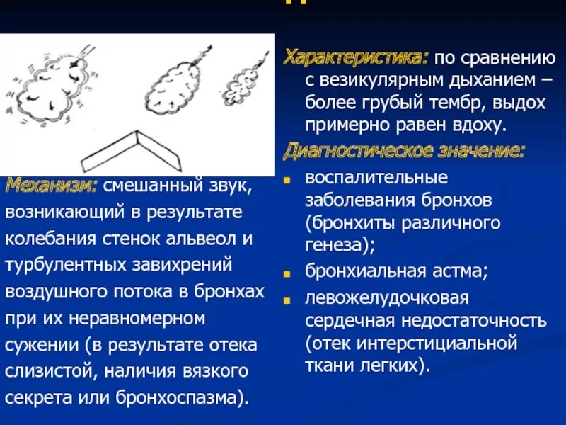 Механизм образования везикулярного дыхания. Жесткое дыхание характеристика. Механизм образования везикулярного и бронхиального дыхания. Характеристика везикулярного дыхания.