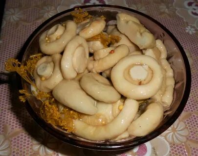Вкусные рецепты соленых груздей