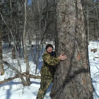 Погода в лесникова курганская область