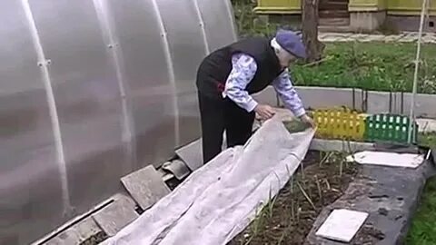 Огород кизимы