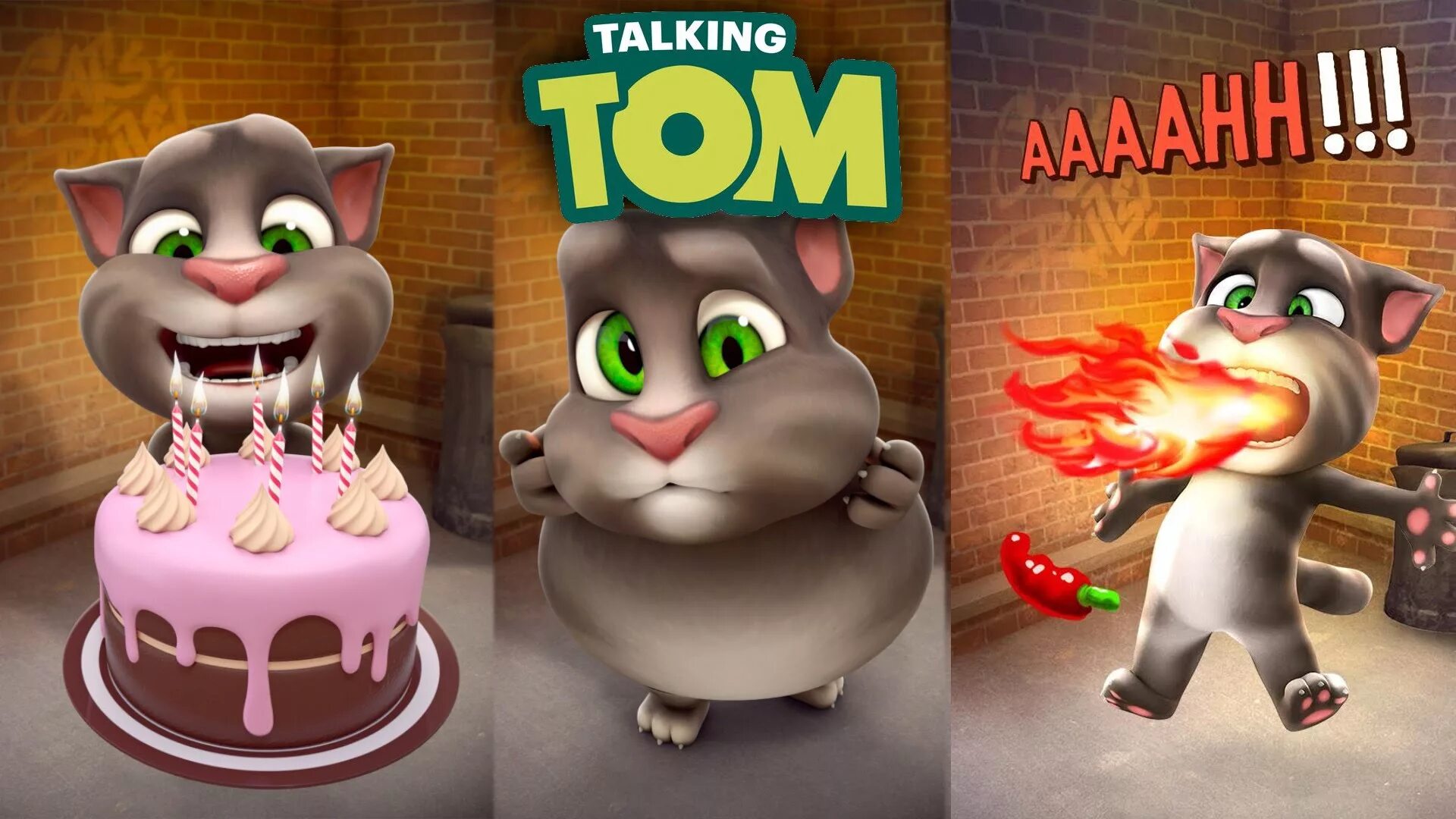 Кто создал мой говорящий том. Talking Tom. Talking Tom игры. Talking Tom Cat. My talking Tom 2010.