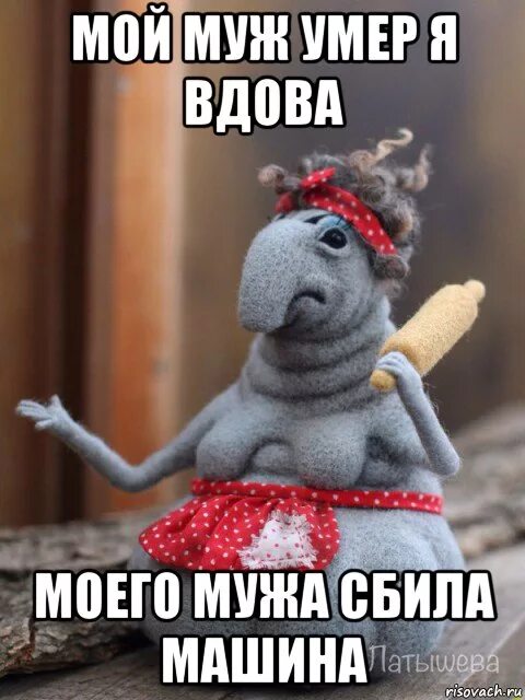 Мем жена. Ждун жена. лис ждун. жена мем. мемы про жену.