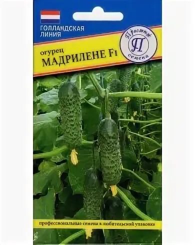 Отзывы огурцов мадрилене f1