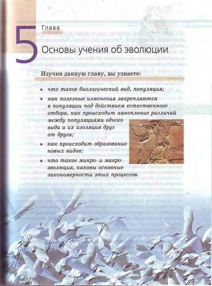 Учебник пасечник 11 класс биология базовый уровень. Учебник 11 класс базовый биология Каменский. Биология 11 класс учебник оглавление. Биология 10-11 класс учебник Пасечник содержание. Биология 10-11 класс Каменский Криксунов Пасечник учебник оглавление.