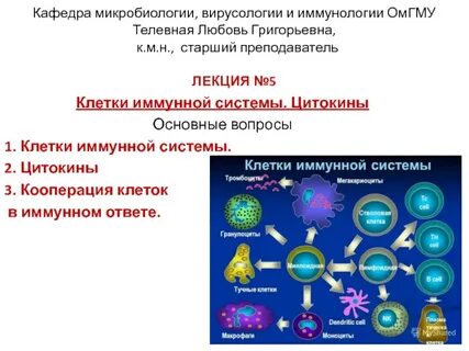Иммунологии отзывы