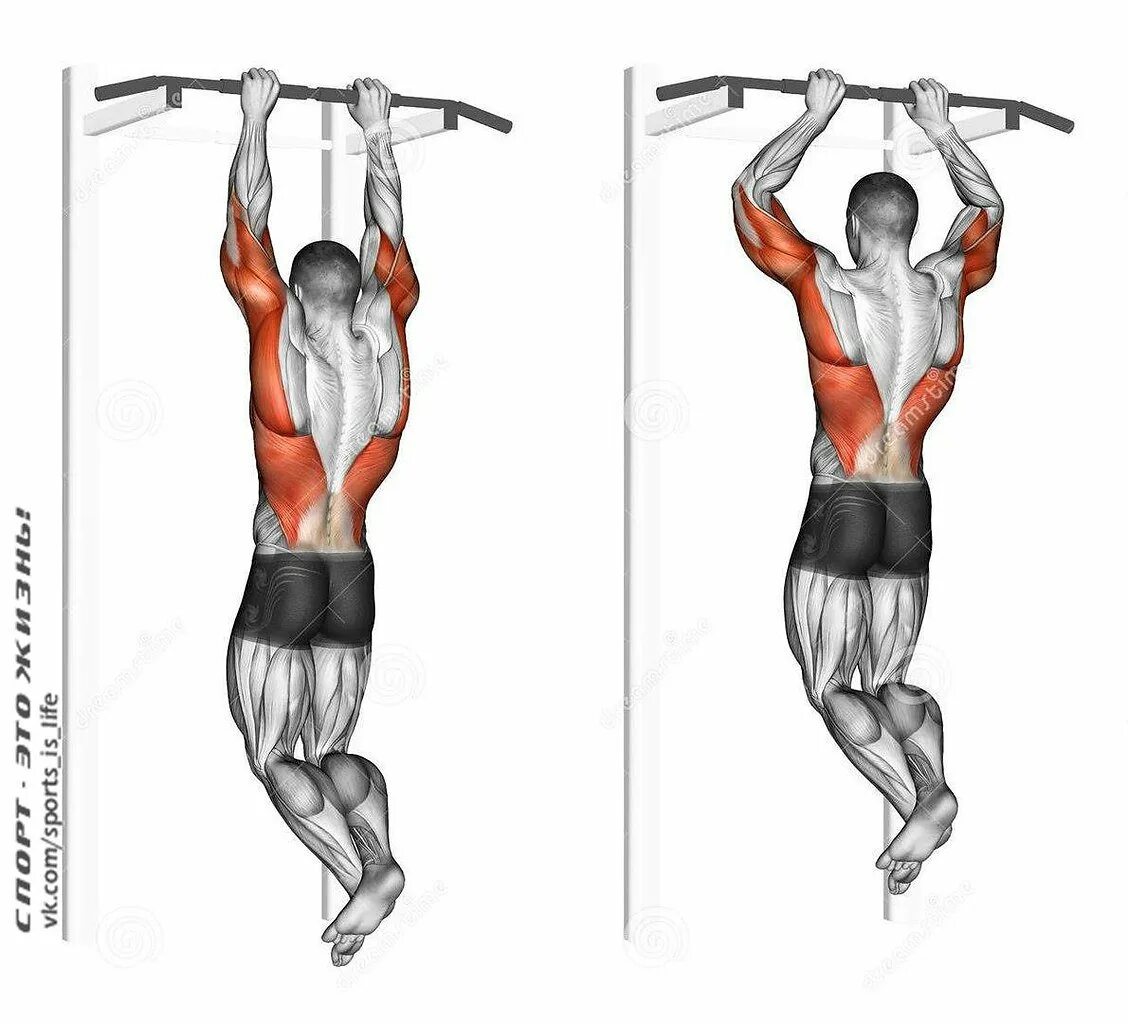 Подтягивания узким хватом мышцы. Подтягивания хватом сбоку. Подтягивания широким хватом техника. Тяга вертикального блока пронированным хватом. Как сделать подтягивание