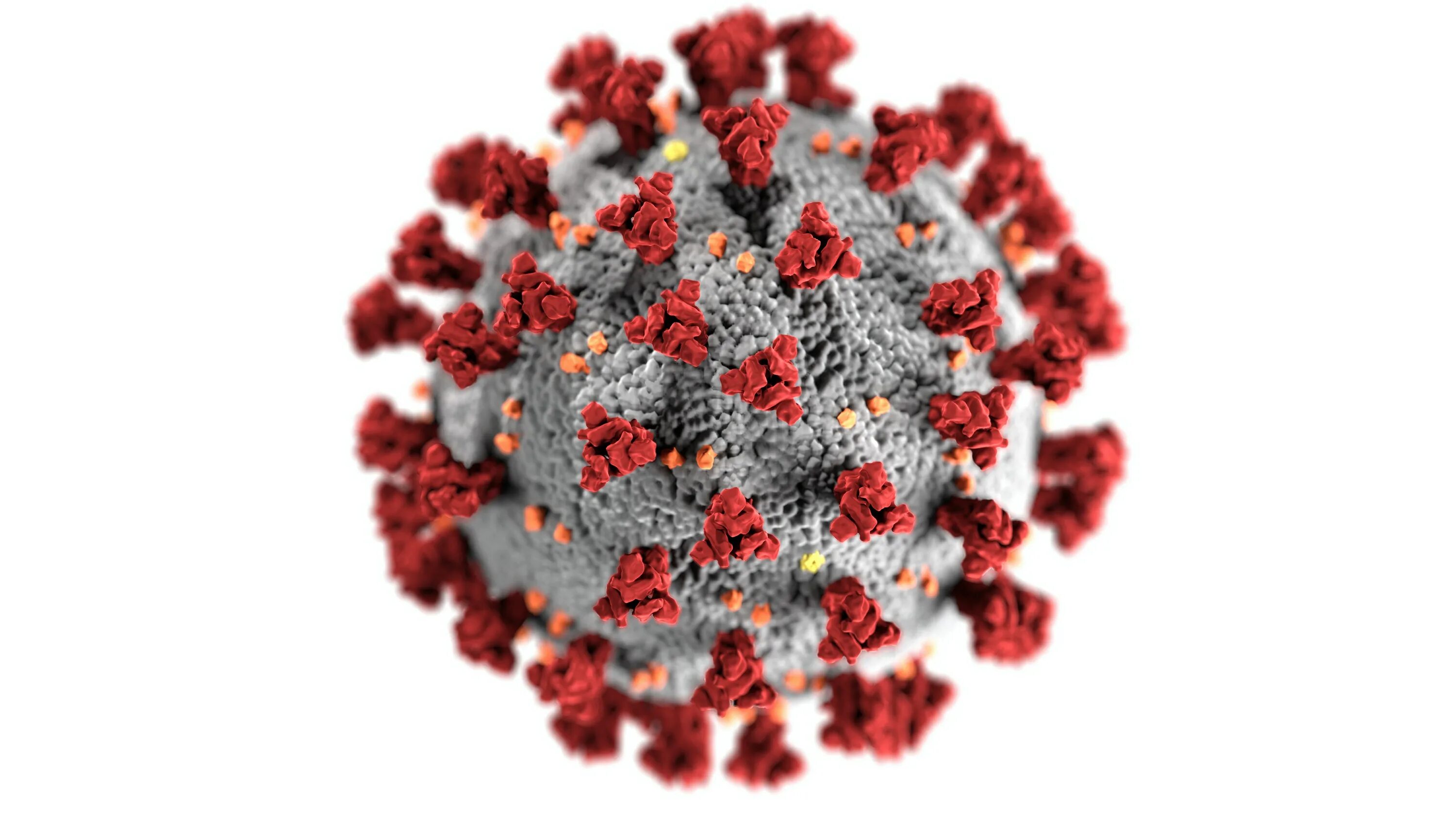 Www virus. Вирус Covid-19. Вирус ковид 19. Covid-19. Омикрон-штамм SARS-cov-2.