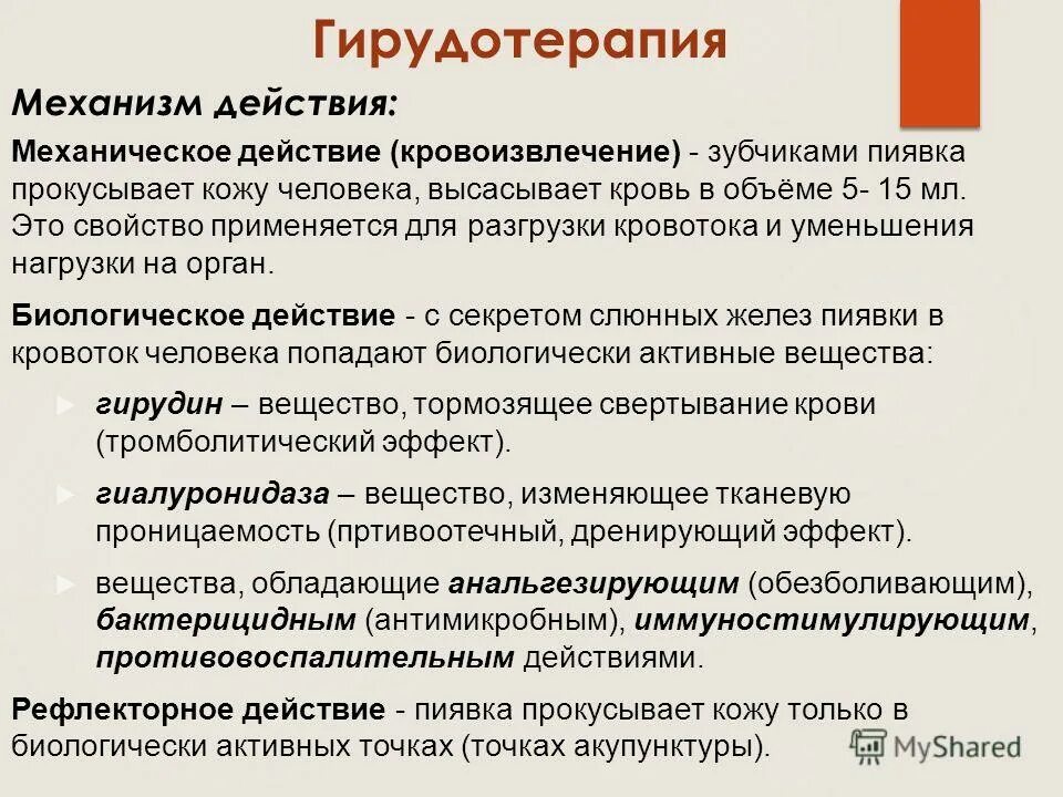 Гирудотерапия механизм действия. Механизм действия метода гирудотерапии. Гирудотерапия методика постановки. Гирудотерапия противопоказания. От каких болезней пиявки