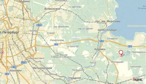 Автобус кировск синявино
