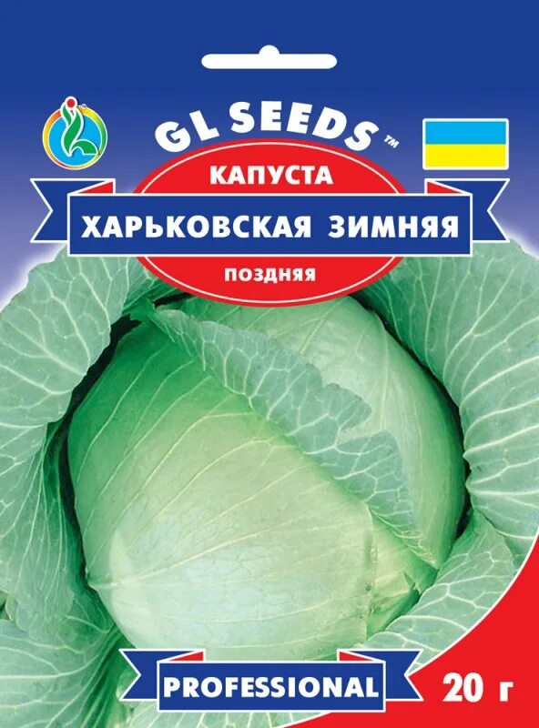 Капуста харьковская зимняя описание отзывы. Капуста харьковская зимняя описание отзывы. Сорт капусты харьковская. Капуста харьковская зимняя описание отзывы. Капуста белокочанная харьковская зимняя.