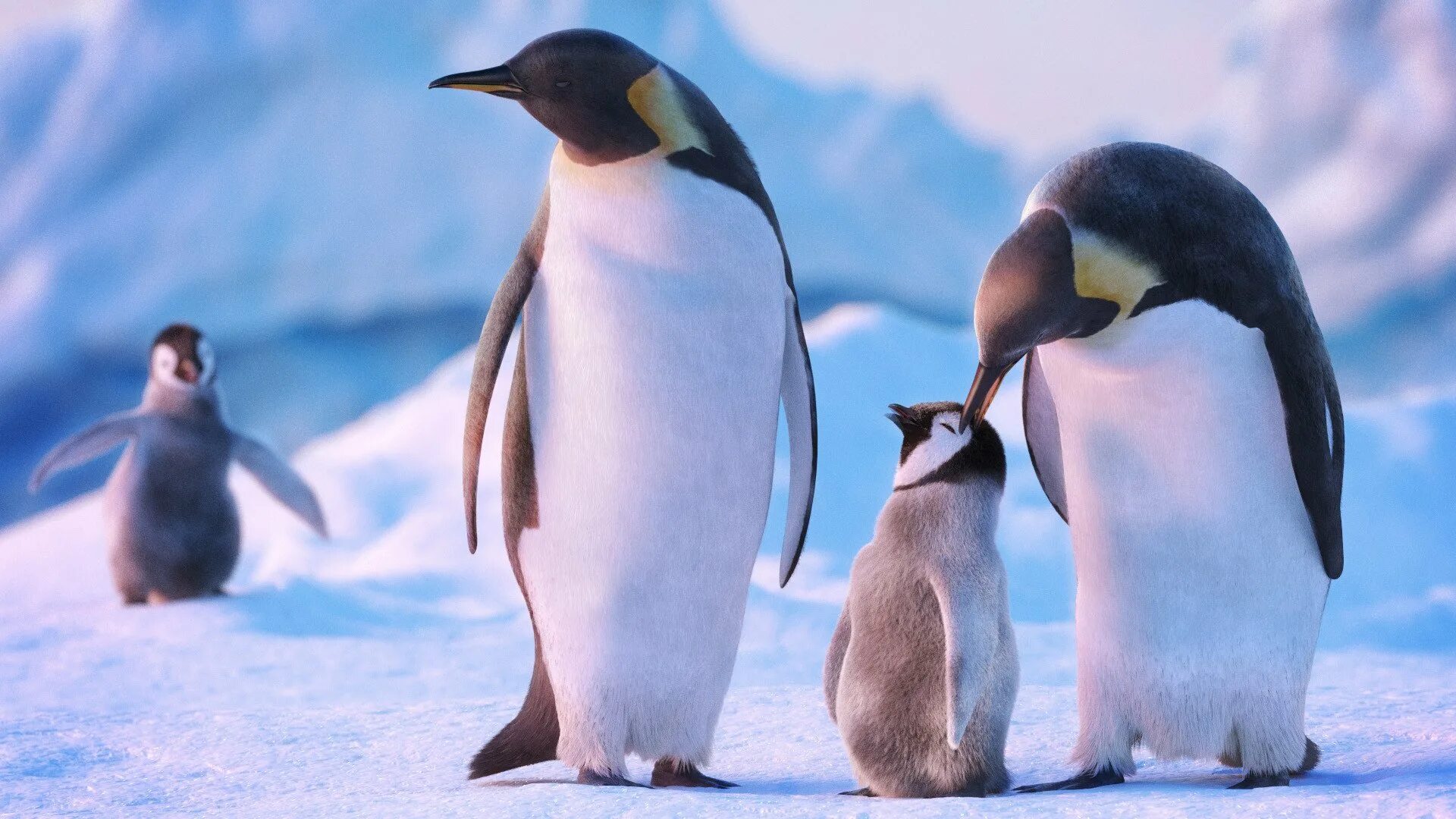 Поставь 3 пингвина. Императорский Пингвин в Антарктиде. Королевский Пингвин в Антарктиде. Императорский Пингвин семья. Полярный Пингвин.