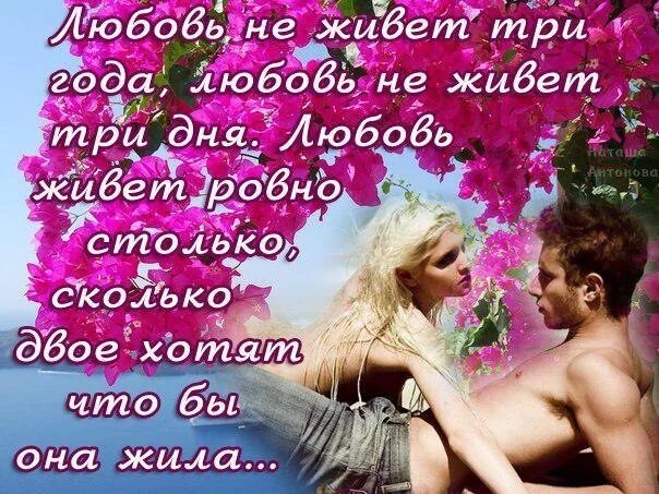 Три любимых