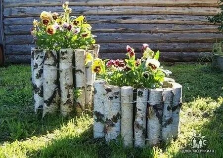 Году можно применить в