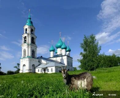 Павлово ярославская область