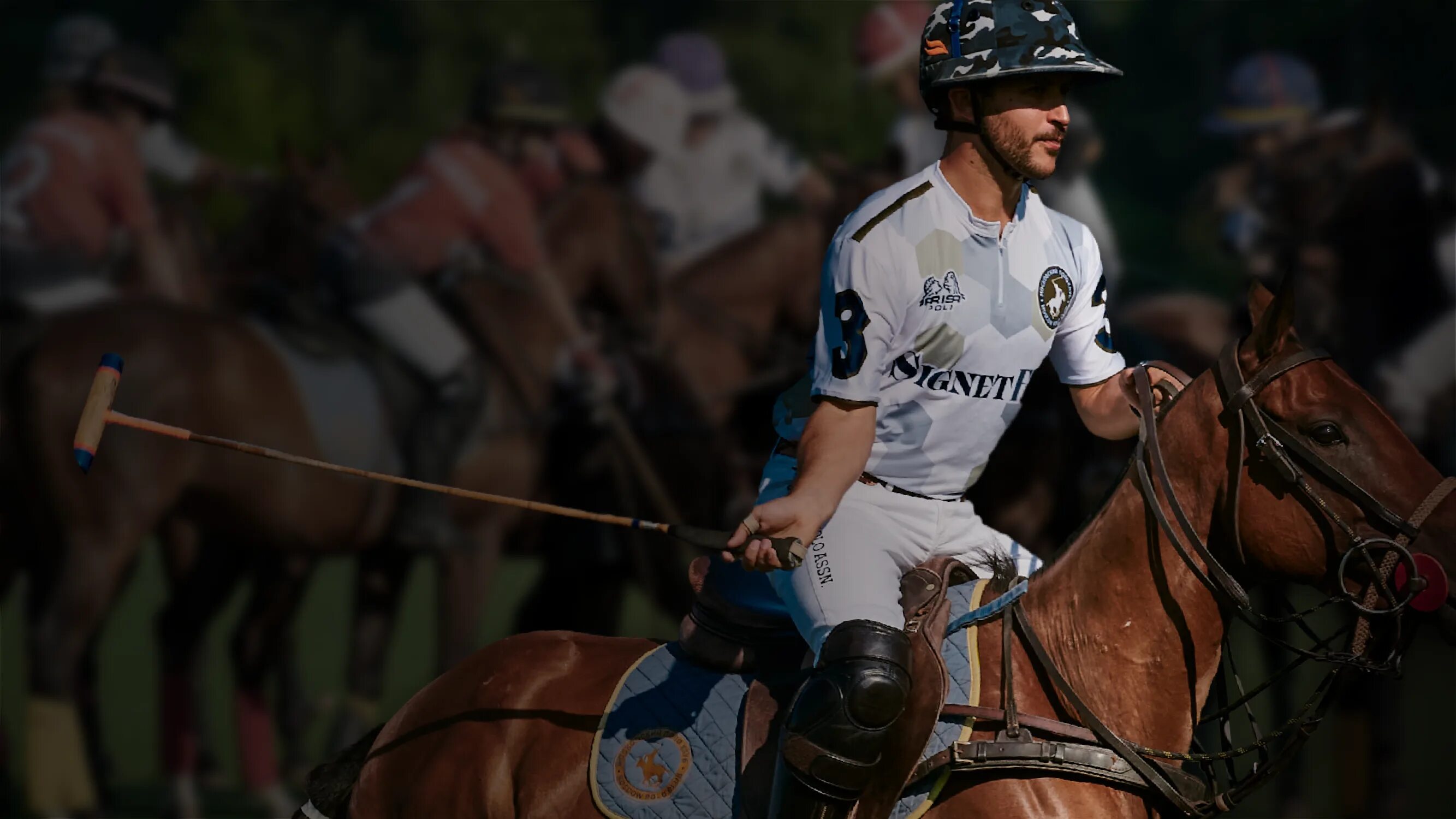 как узнать пол лошади. книги про лошадей. Equus ferus caballus. бретонская порода. сласка порода лошадей польская.