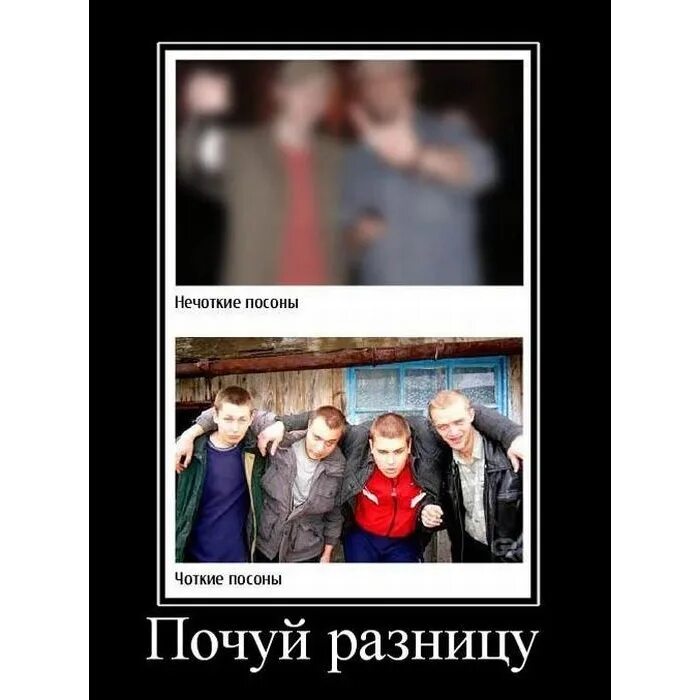 В чем разница вот это. Вот в чем разница оригинал. Вот в чем разница оригинал. В чем разница вот это. В чем разница вот это.