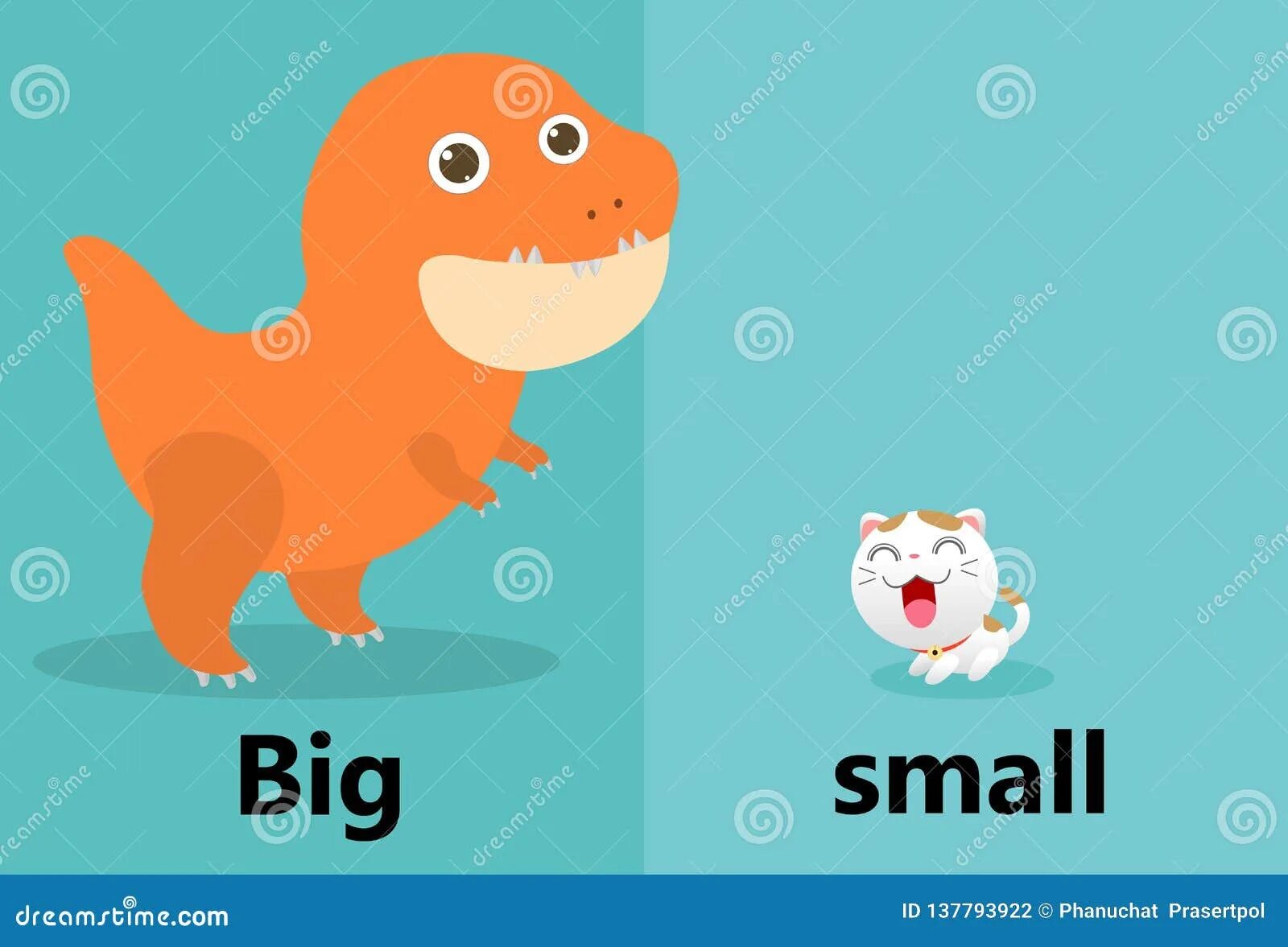 Small big com