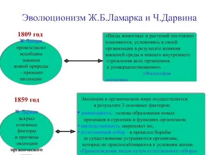 Эволюционизм