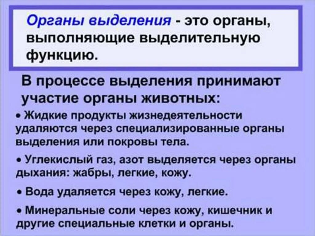 Выделение биология 6 класс кратко. Выделение у животных. Органы выделения у животных. Выделение у животных кратко. Процесс выделения у животных.