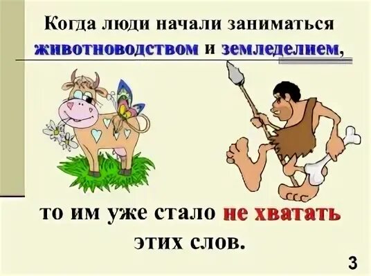 Сельское хозяйство свиноводство. Для чего люди занимаются животноводством. Для чего люди занимаются животноводством. Отрасли животноводства. Овцеводство как отрасль животноводства.