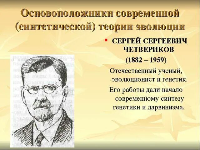 Четвериков синтетическая теория эволюции. Основоположники синтетической теории эволюции. Синтетическая теория эволюции создатель. Синтетическая теория эволюции ученые.