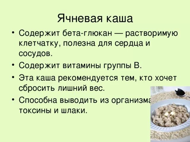 Польза каш для пожилых. Ячневая каша полезна. Ячневая каша польза. Ячневая крупа польза. Чем полезна ячневая крупа.