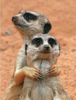 i?id=e0330fc77ba9266f5c82c940916f64a60e7