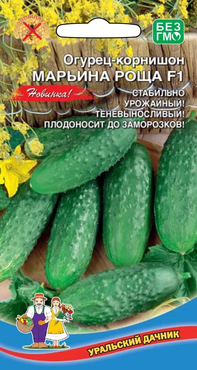 Семена огурец марьина роща f1. Огурец марьина роща манул. Сорт огурца марьина роща. Огурец марьина роща f1. Огурцы марьина роща фото.