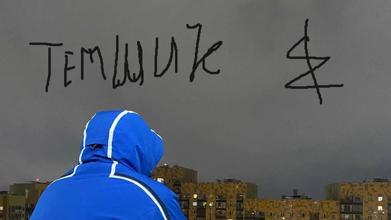 Темщики мемы. Темщики. Темщик мемы. Темщик. Бобристый темщик.