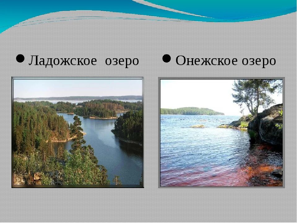 Какие из онеги. Ладожское озеро и Онежское озеро. Ладожское и Онежское. Ладожское и Онежское озеро на карте. Самые крупные озёра — Ладожское и Онежское.