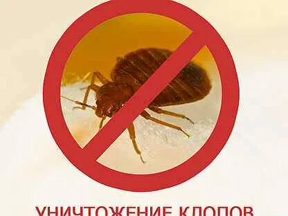 Травлю тараканов красноярск