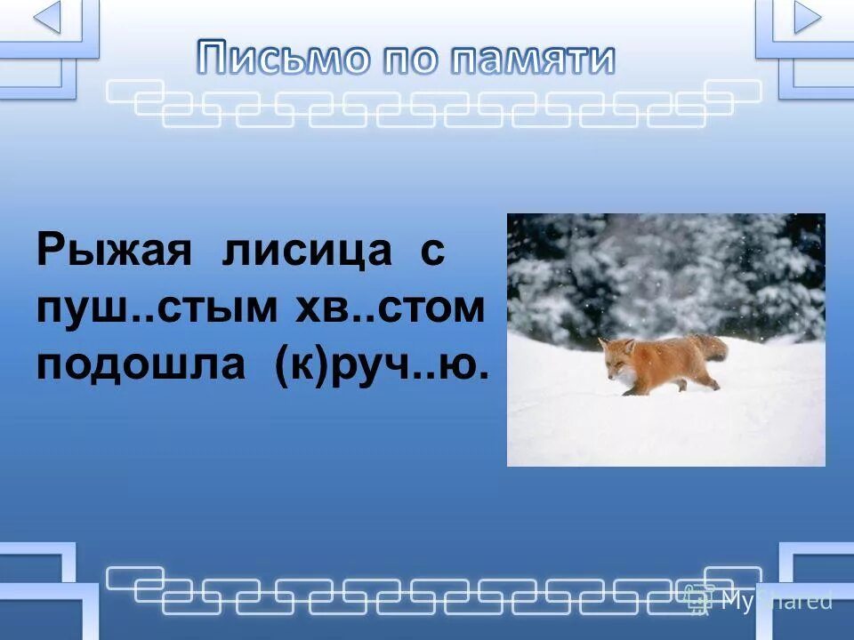 Лиса красная книга. Рыжая лисица наиболее распространена диктант. Презентация на тему лиса. Животные липецкой области занесенные в красную книгу. Что делают лисицы.