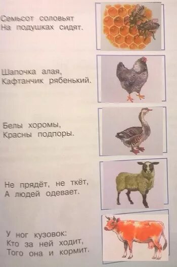 домашнее задание окружающий мир. семесот соловьят наподушкахсидят. эти загадки предлагает вам пес рыжик у которого среди домашних. отгадка на загадку 700 соловьят на подушках сидят. семьсот соловьят на подушках сидят ответы окружающий.