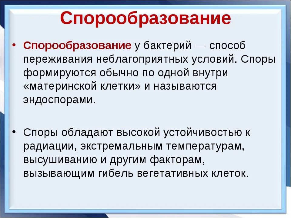 Спорообразование у бактерий. Образование споры микробиология. Процесс спорообразования у бактерий. Этапы образования спор. Споры бактерий 5 класс