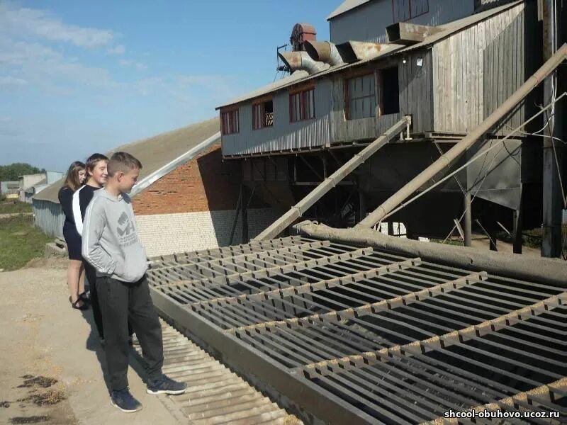 Колхоз ленинцы. Жданова лиманского района. Колхоз ленинцы. Колхоз ленинец раменский район история создания. Спк ленинец пижанского района.