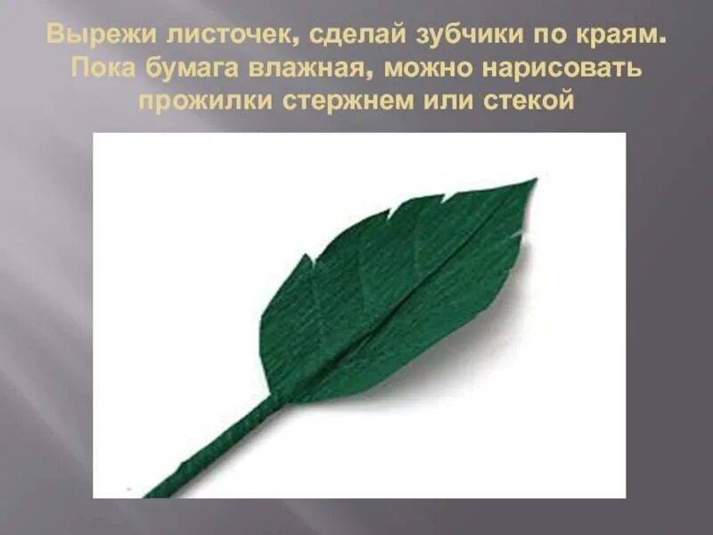 Что хорошего сделал листьев