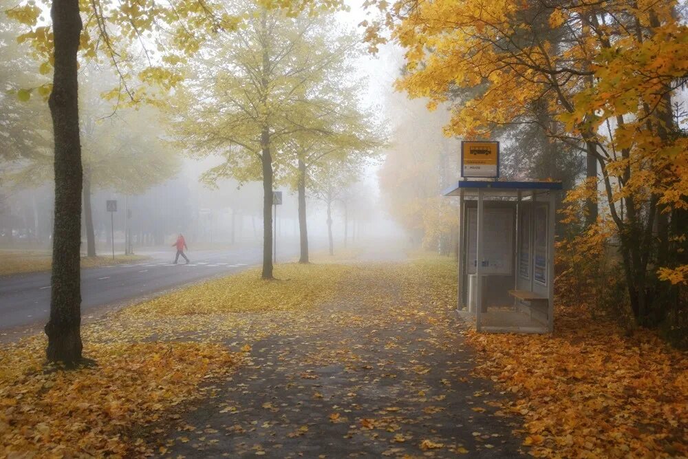 Осень остановись. Осень в городе. Осенний дождь. Осенний дождь в городе. Остановка осень.