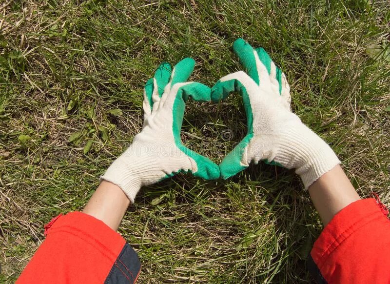Перчатки для сада и огорода. Женские руки в перчатках. Перчатки садовые зеленые. Руки в перчатках для огорода.