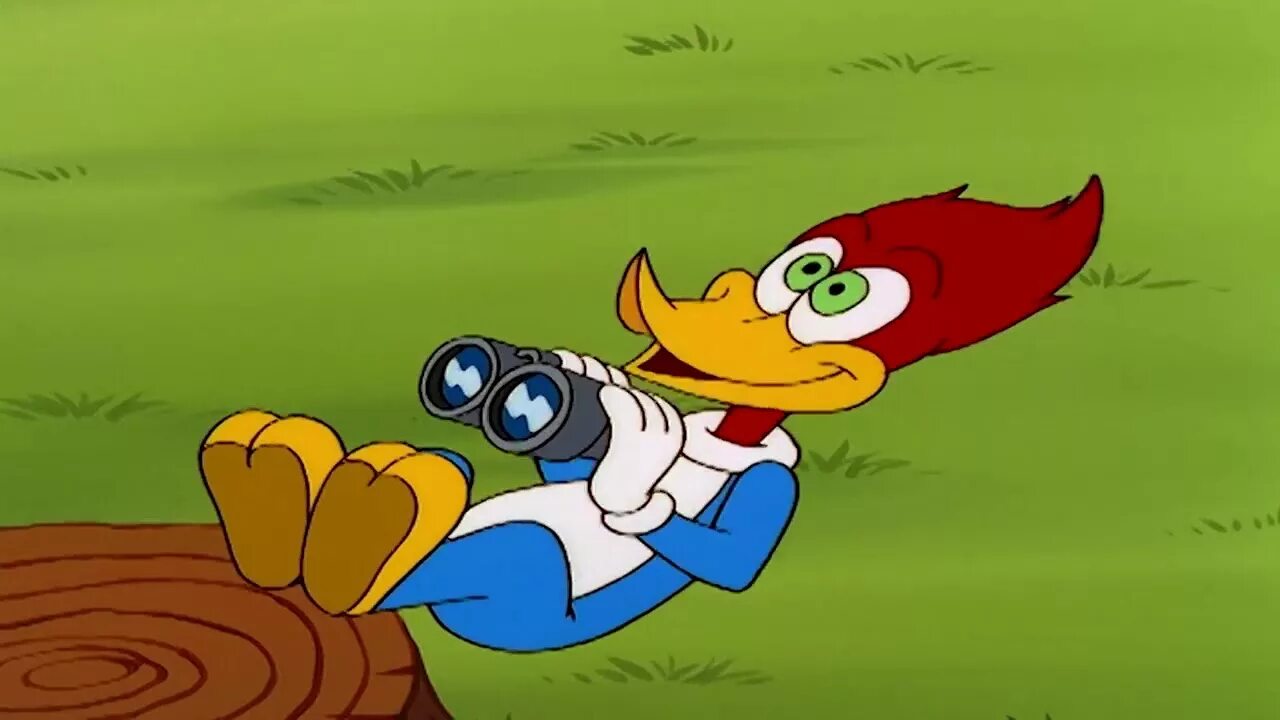 Compilation cartoon. Compilation cartoon. Chuck chicken. Compilation cartoon. Cartoon network africa.