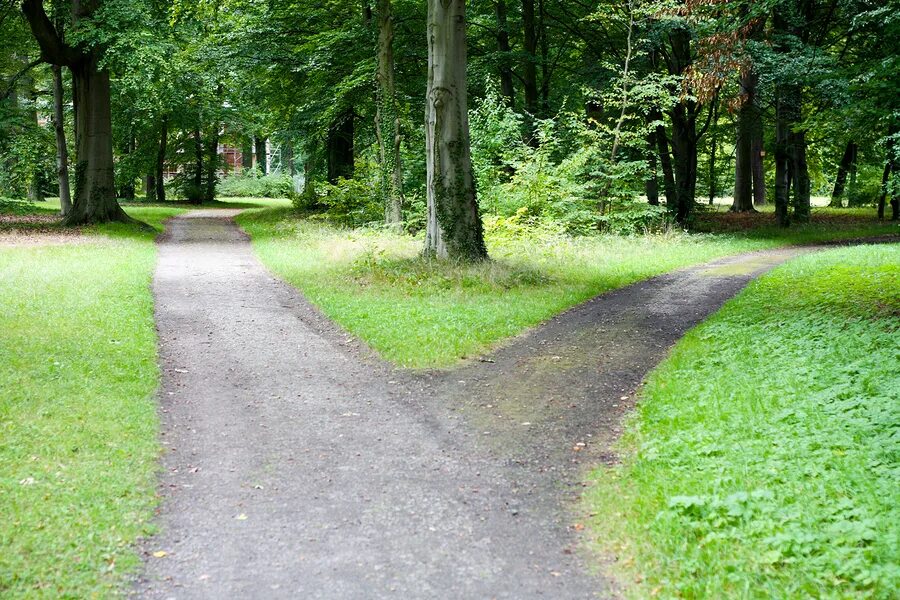 Path road way