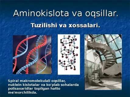 Белки и аминокислоты биология