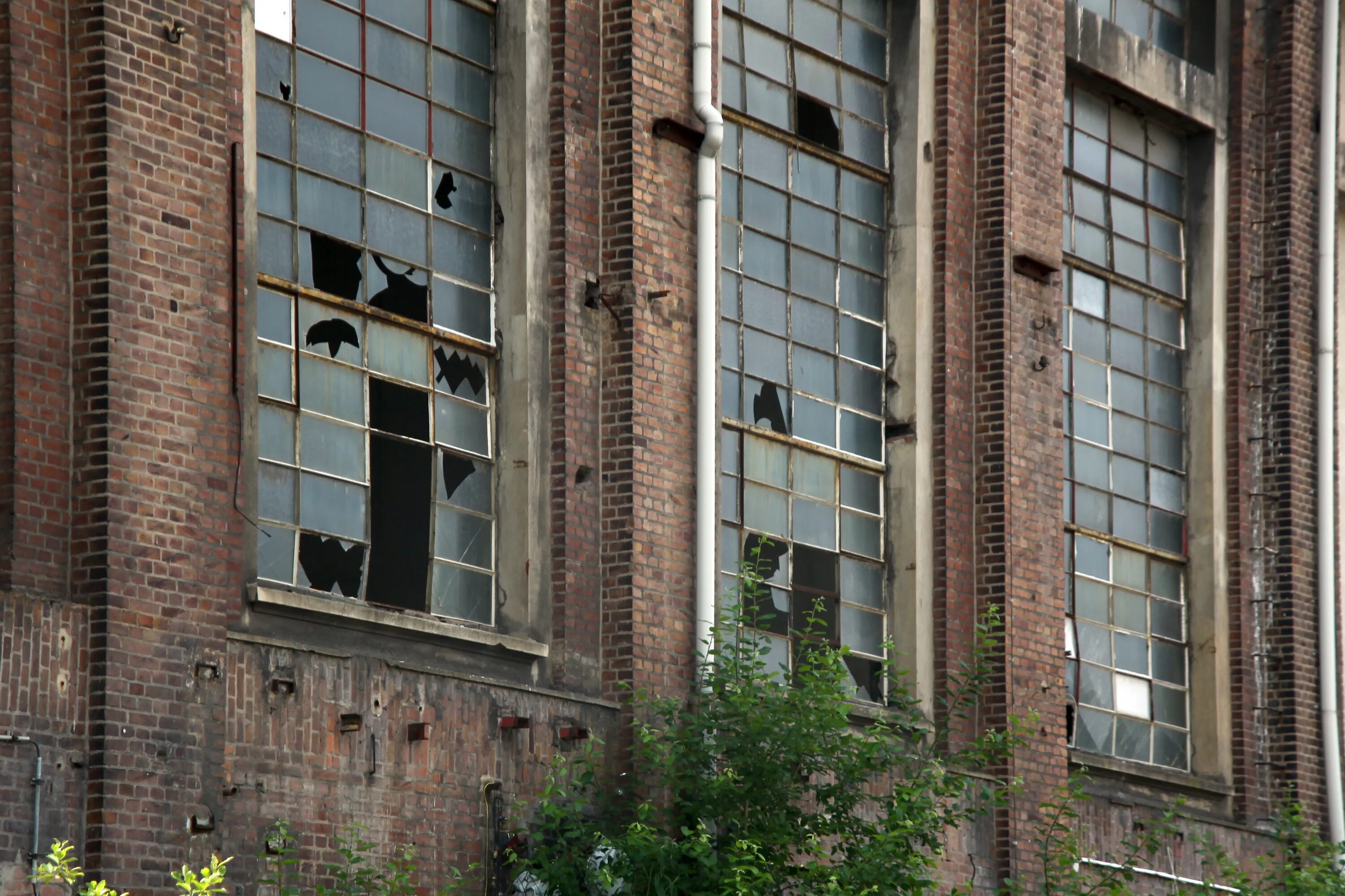 Разрушенное окно. Окно разрушенного здания. Старые окна многоэтажек. Разбитых окна в здании.