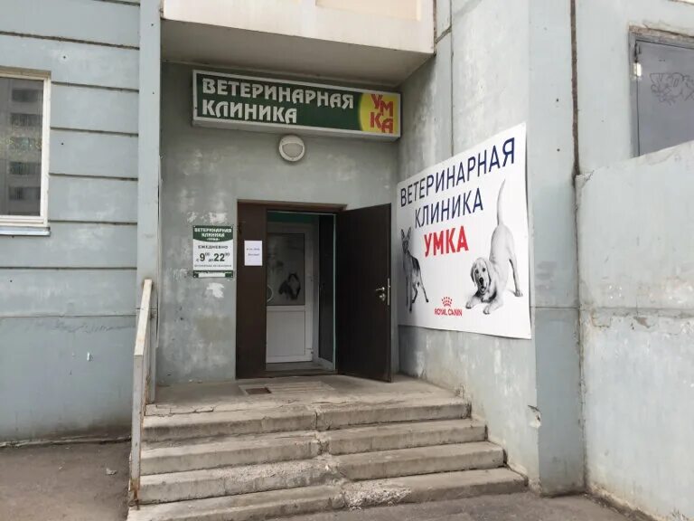 ветеринарная подольск. большая серпуховская 47 ветклиника подольск. ветеринарная подольск. ветеринарная клиника подольск кузнечики. ветклиника подольск.