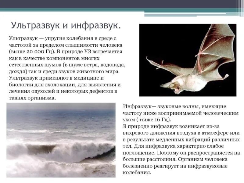 Урок конференция ультразвук и инфразвук. Ультразвук и инфразвук. звук инфразвук ультразвук. ультразвук и инфразвук в природе. таблица инфразвук и ультразвук.