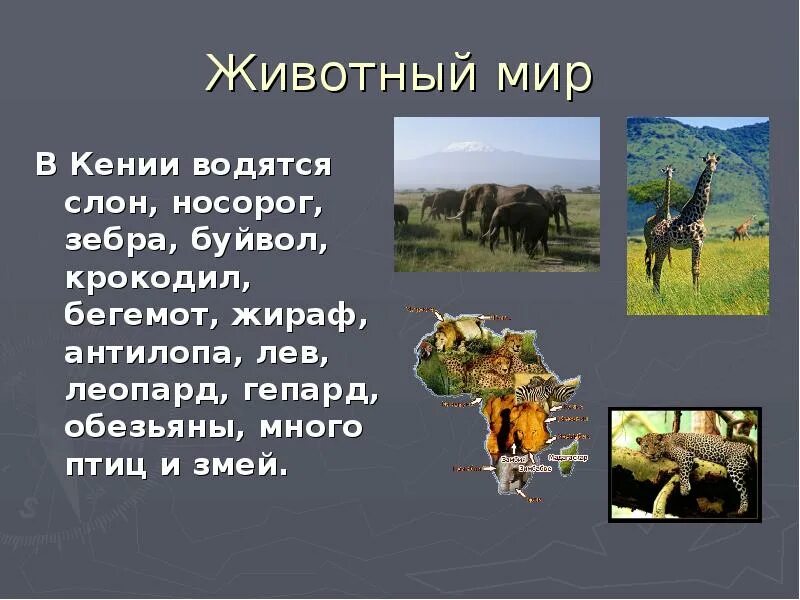 Кения особенности страны. Кения презентация. Кения сообщение. Кения доклад. Проект Страна Кения.