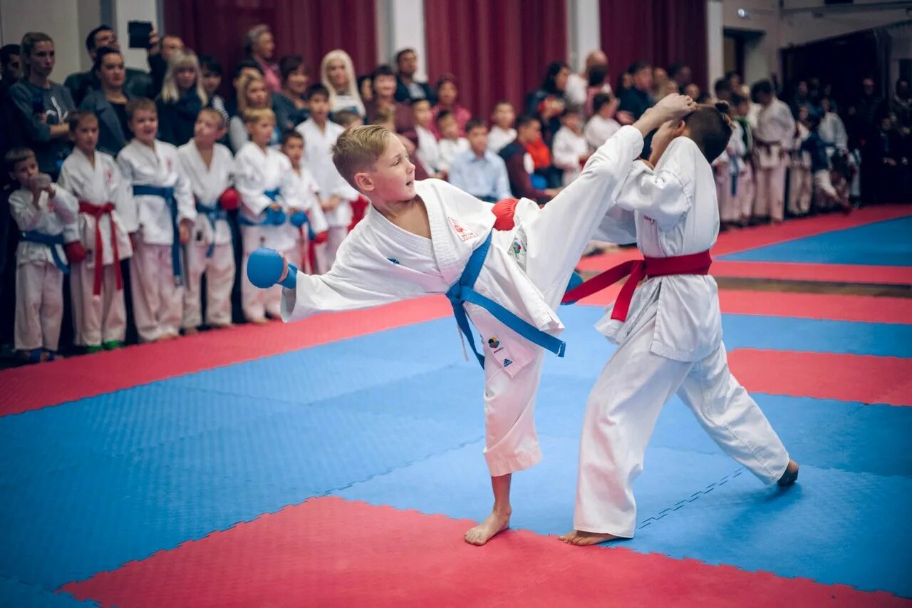 карате в цветах. пожарская диана таеквондо. каратэ дети. диана пожарская каратэ. восточные единоборства для детей.